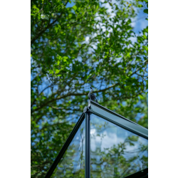 HALLS szklarnia ogrodowa ICON 8 (11,2 m2; 2,55 x 4,41 m) czarna, szkło hartowane + baza